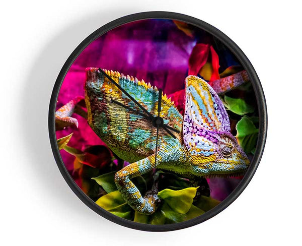 Chameleon In The Pink Clock - Wallart-Direct UK