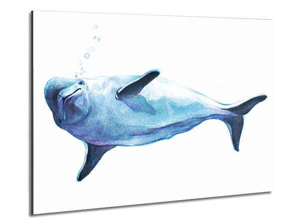 Dolphin Bubbles Metal Print