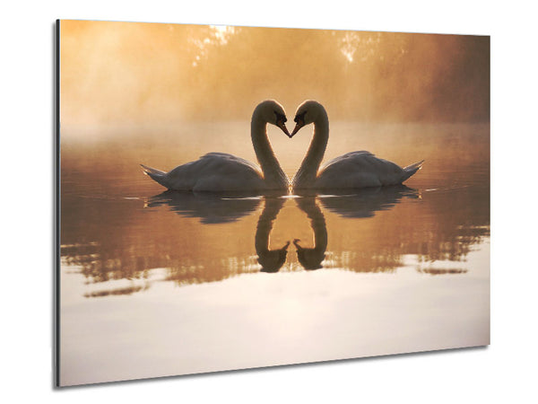 Swan Lake Love Metal Print