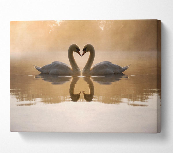  A Canvas Print of Swan Lake Love Canvas Print