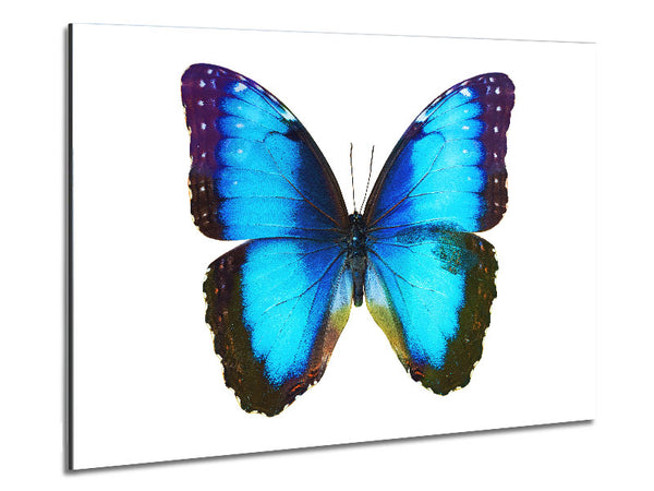 Electric Butterfly Metal Print