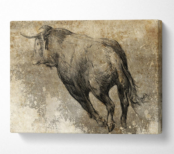 A Canvas Print of Bull Run Canvas Print
