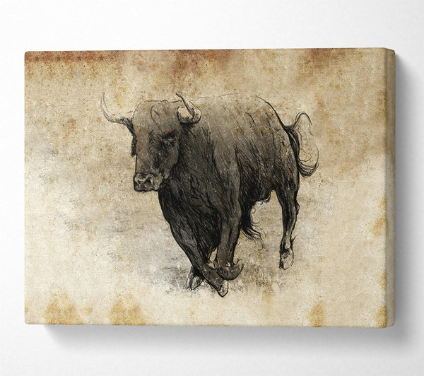  A Canvas Print of Bull Charging Canvas Art