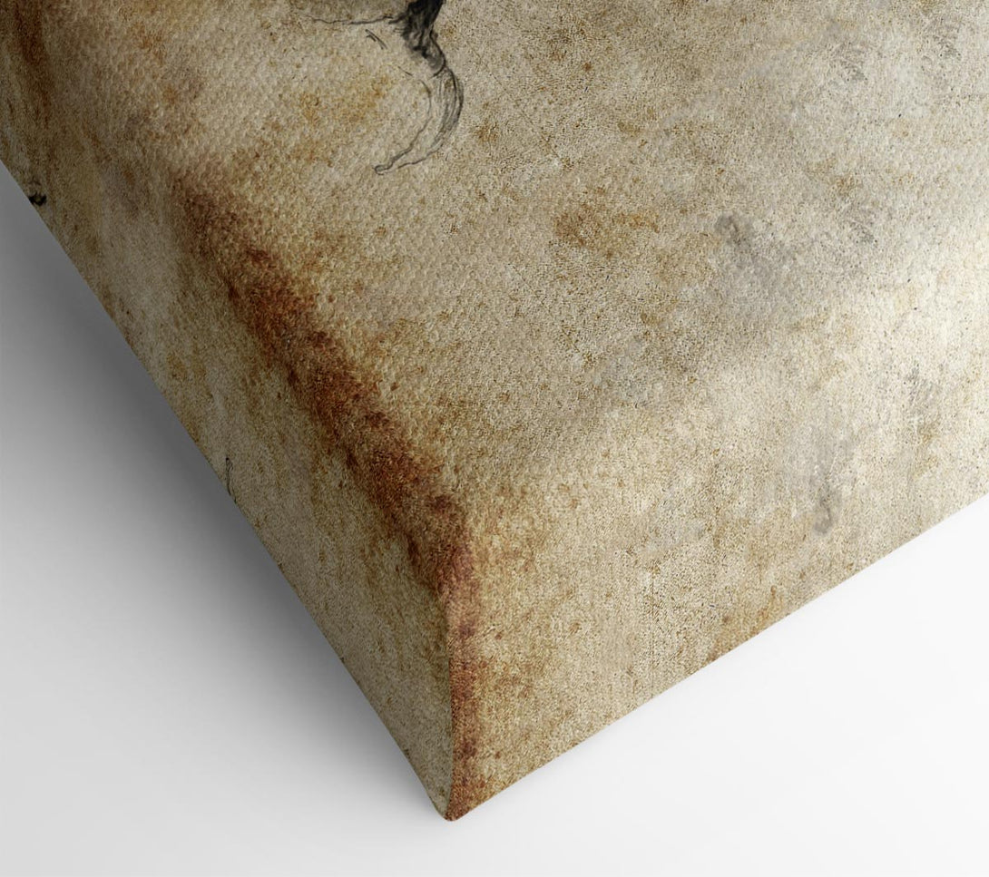  A Canvas Print of Bull Charging Canvas Art