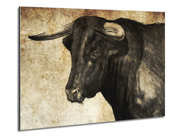 Bull Horns Metal Print