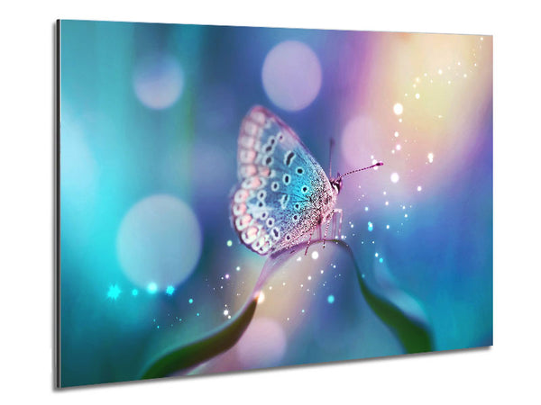 Butterfly Sparkle Metal Print