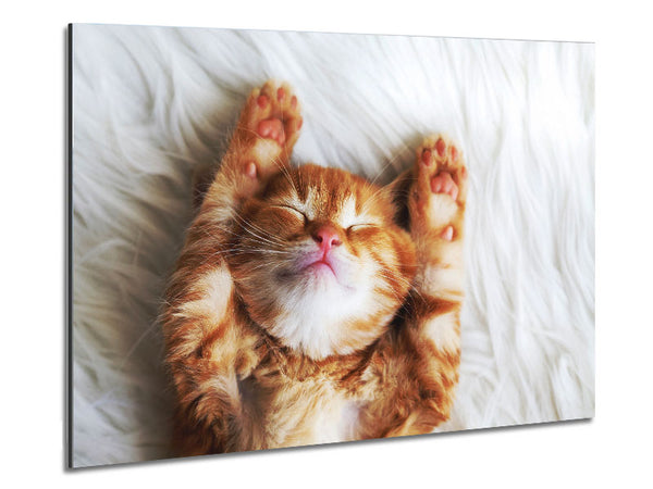 Cat Snooze Metal Print