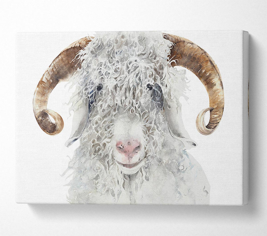  A Canvas Print of Sheep Beauty Canvas Wall Art