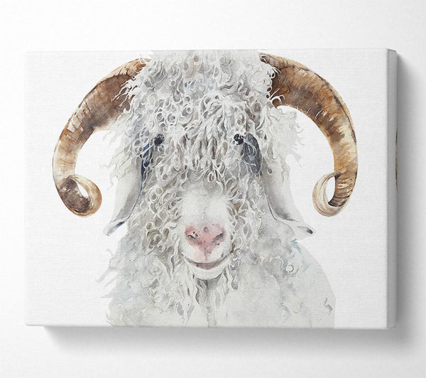  A Canvas Print of Sheep Beauty Canvas Wall Art