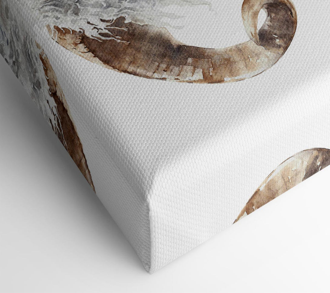  A Canvas Print of Sheep Beauty Canvas Wall Art
