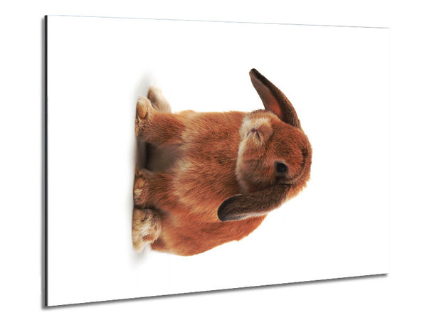 Bunny Sad Ears Metal Print