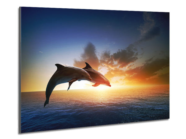 Jumping Sunset Dolphins Metal Print