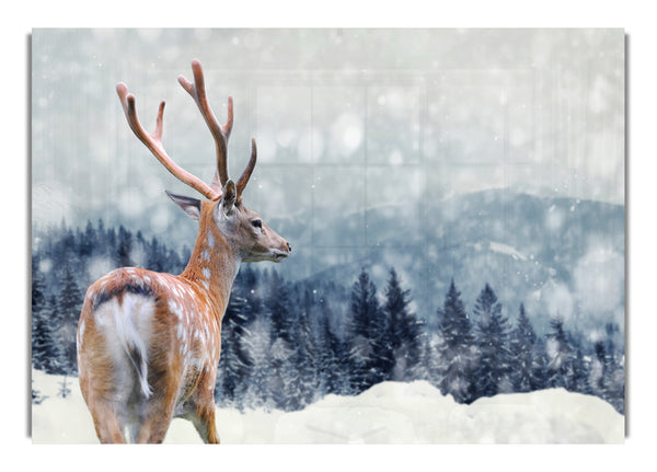 Winterhirsch