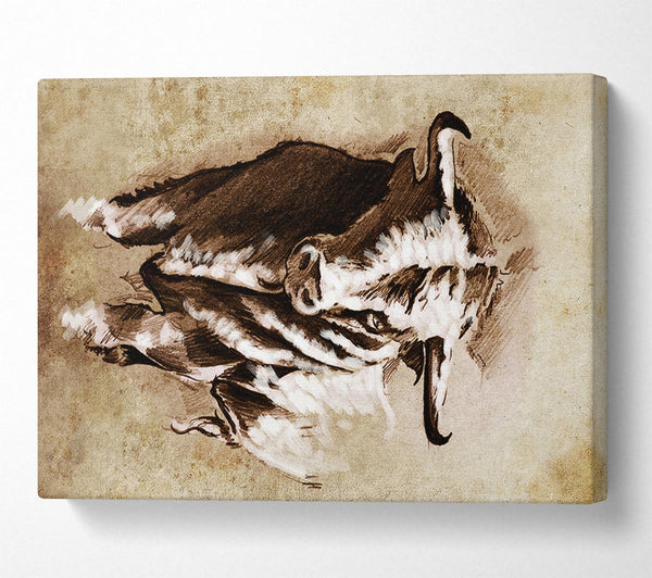  A Canvas Print of Bull Stare Canvas Art