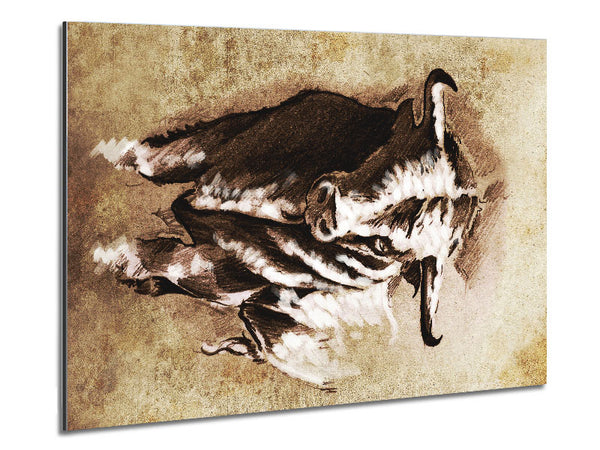 Bull Stare Metal Print