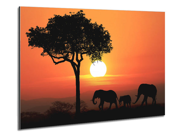 Elephant Safari Sunset Metal Print
