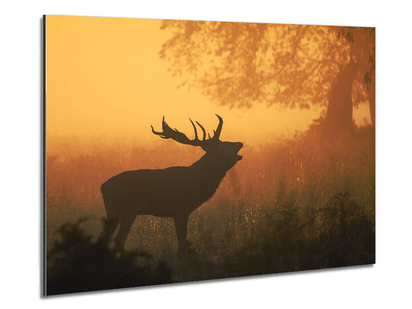 Deer Call Metal Print