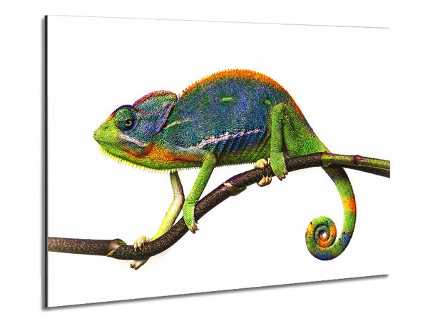 Chameleon Branch Metal Print