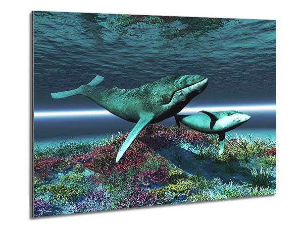 Whale Family Metal Print
