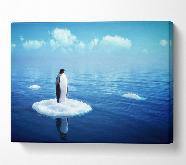  A Canvas Print of Penguin Drift Canvas Wall Art