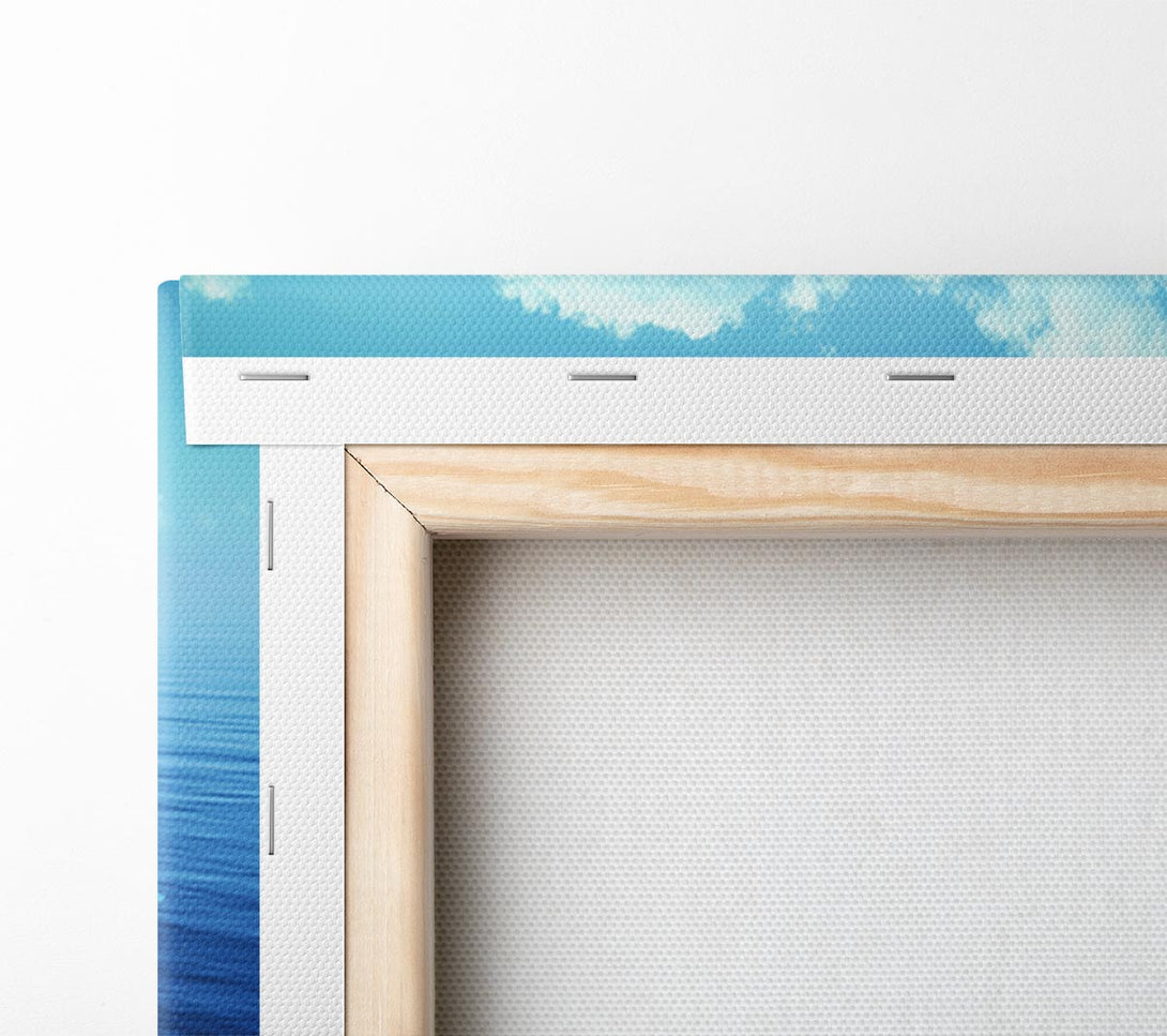  A Canvas Print of Penguin Drift Canvas Wall Art