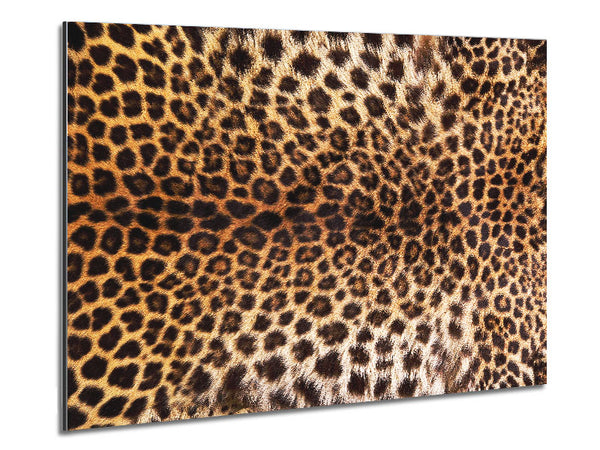 Cheetah Markings Metal Print