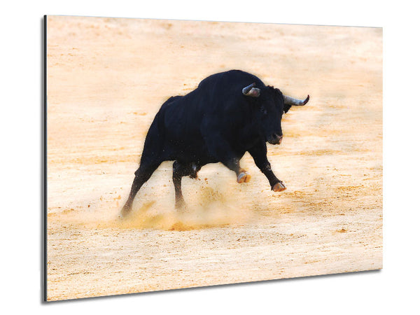 Bull Play Metal Print