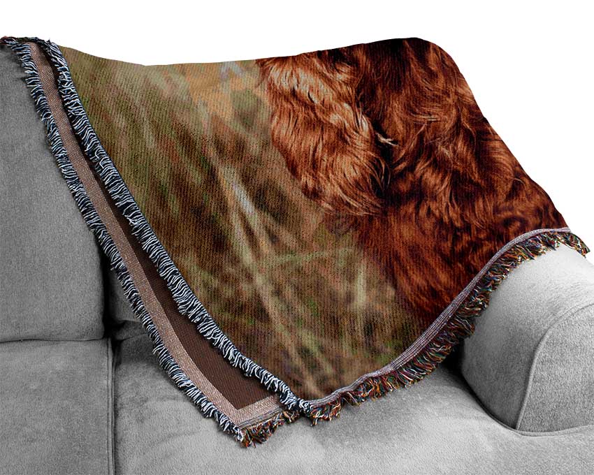 Sunny Days Dog Woven Blanket