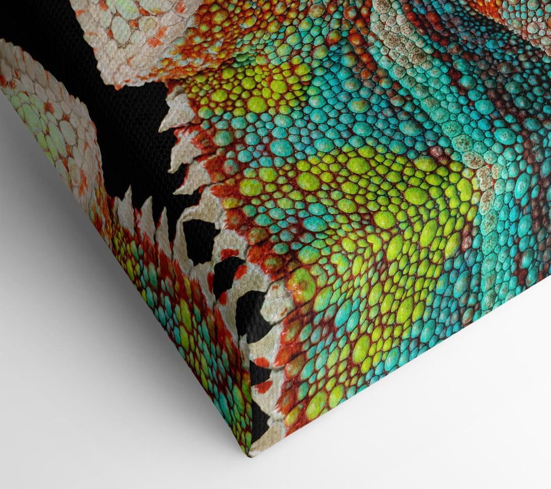  A Canvas Print of Chameleon Face Canvas Print