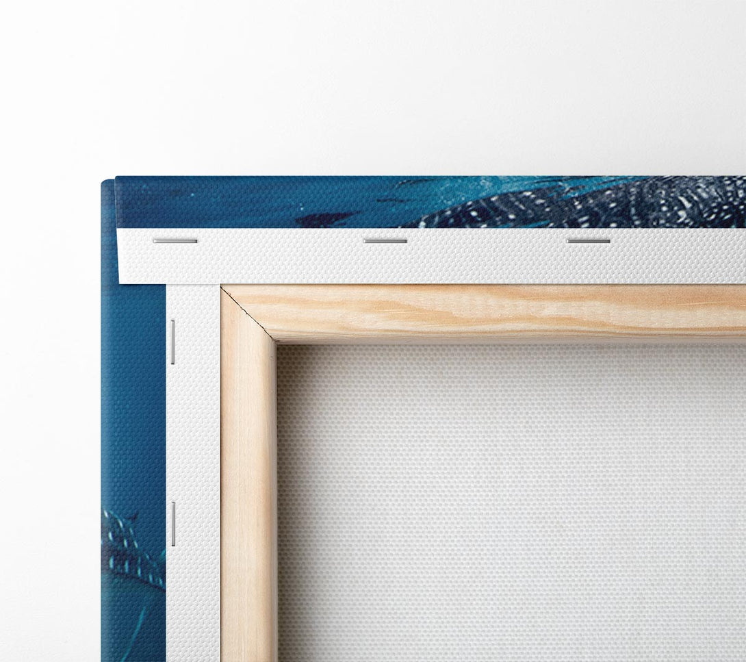  A Canvas Print of Spotted Whale Shark Canvas Print