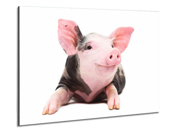 Happy Pig Metal Print