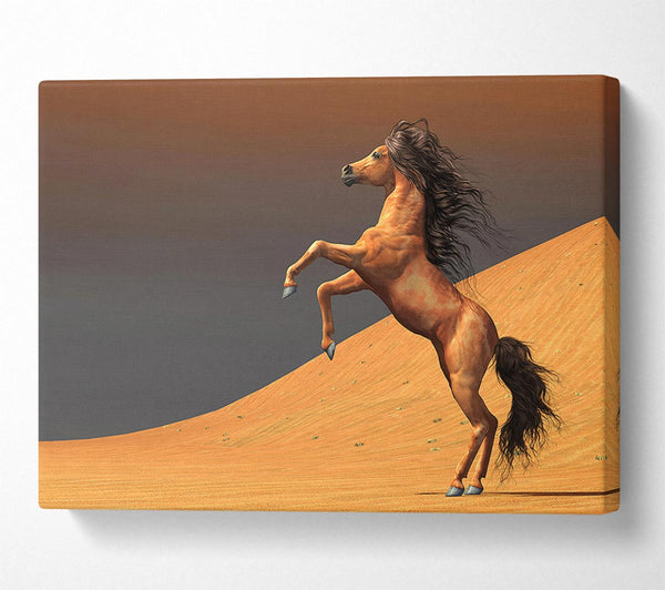  A Canvas Print of Stunning Horse Desert Canvas Art