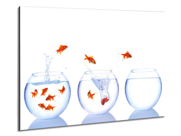 Jumping Goldfish Trio Metal Print