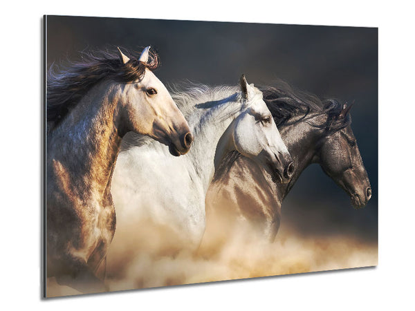 Wild Horse Trio Metal Print