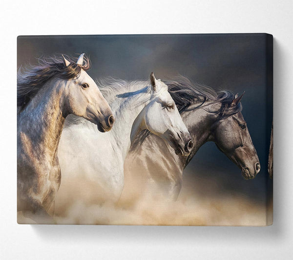 A Canvas Print of Wild Horse Trio Canvas Print
