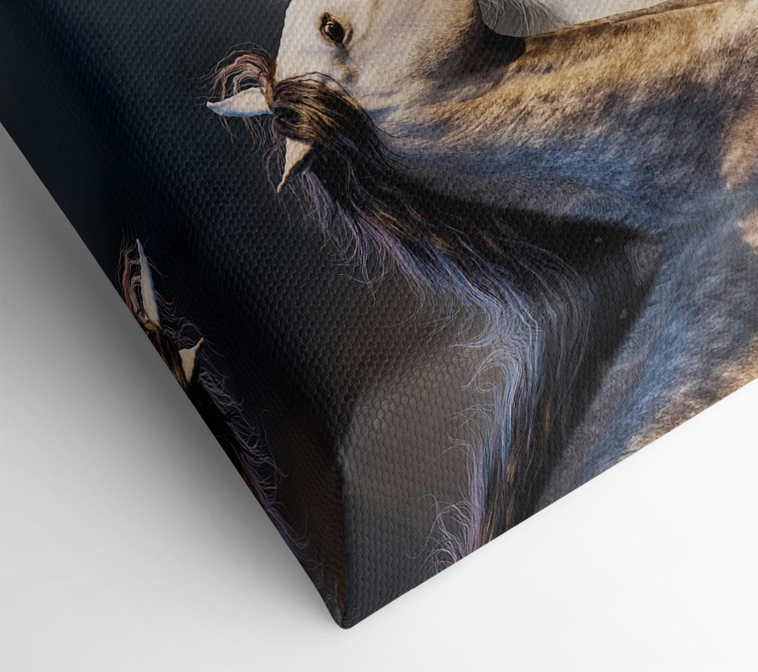  A Canvas Print of Wild Horse Trio Canvas Print