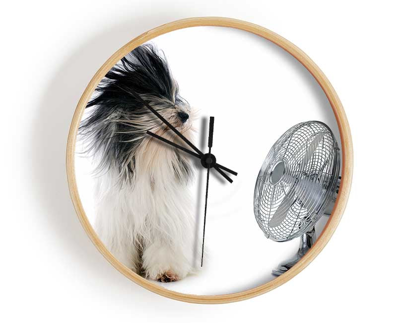 Old English Sheepdog Cooling Off Clock - Wallart-Direct UK