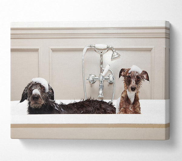  A Canvas Print of Bath Time Dogs Canvas Art