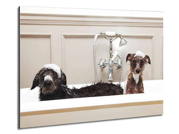 Bath Time Dogs Metal Print