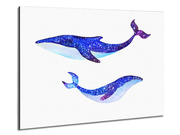 Twinkling Whales Metal Print