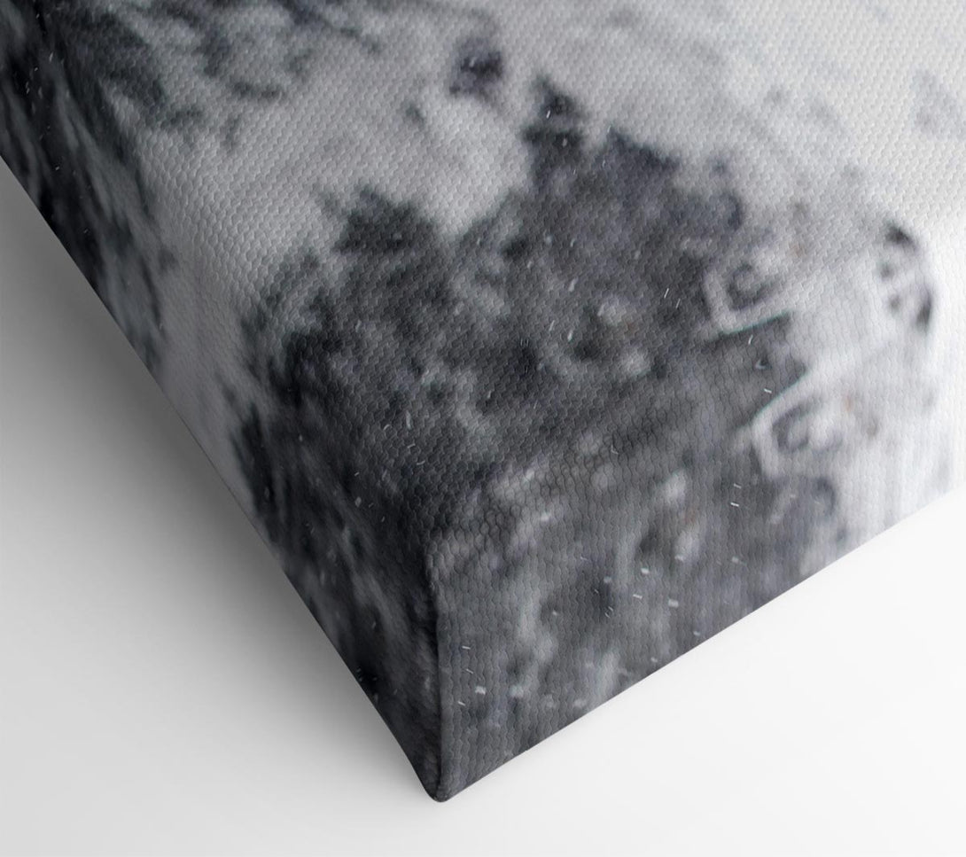  A Canvas Print of Snow Fox Canvas Art