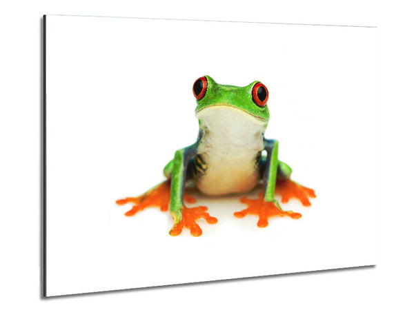 Frog Call Metal Print