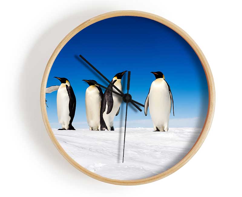 Penguin Gossip Clock - Wallart-Direct UK