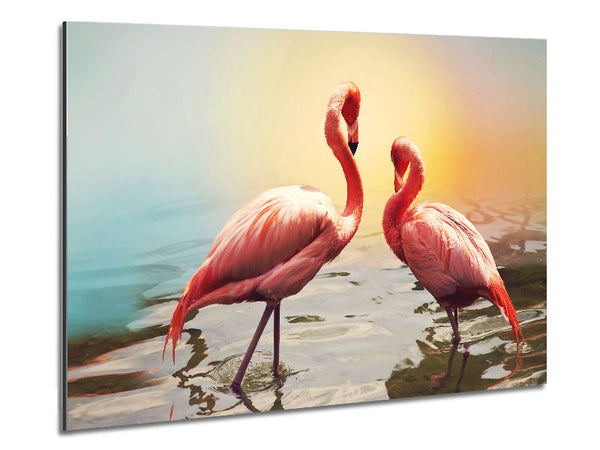 Flamingo Sunset Metal Print