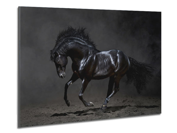 Black Beauty Horse Metal Print