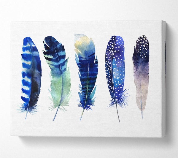  A Canvas Print of Night Feathers Canvas Print