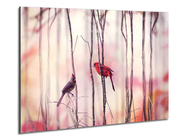Winter Birds Metal Print