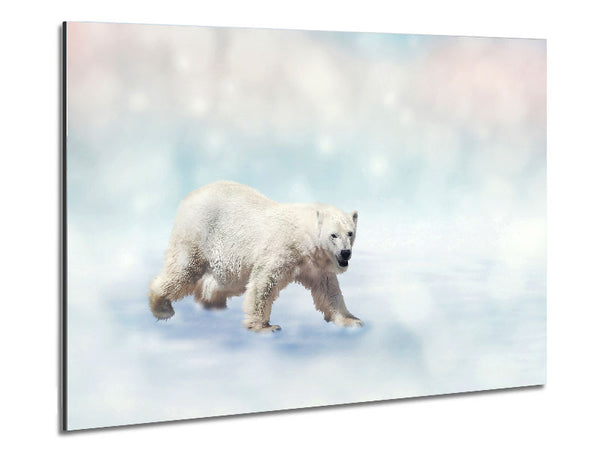 Polar Bear Twinkle Metal Print
