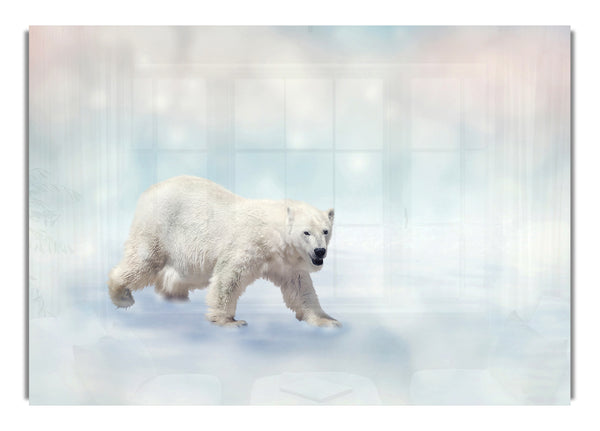 Polar Bear Twinkle