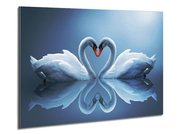 Heart shaped Swans Metal Print